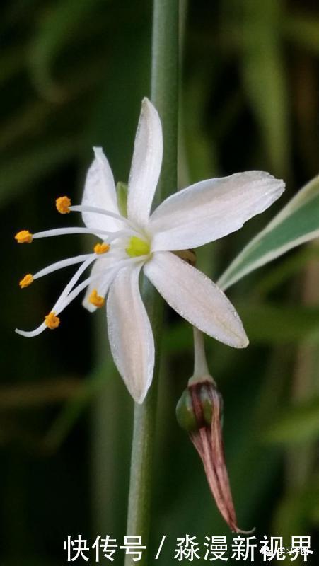 晚间悦读|坚持跑步的每一天里,你的身体正在发生这些变化