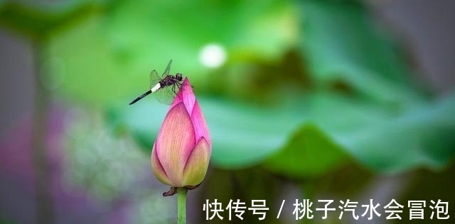 盈亏|易经:接受盈亏同源的人,才有机会成为长期赢家