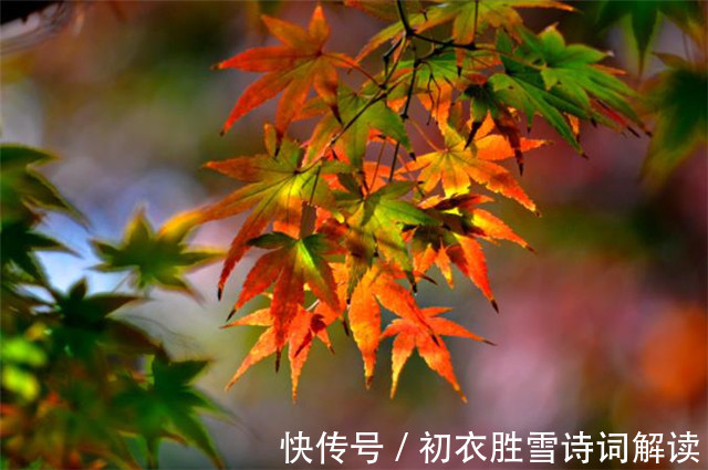 秋思|秋思古诗六首:洛阳城里见秋风,夜来秋气满人间