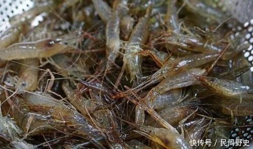 骨头汤不算啥,它才是真正的“钙王”!常做来吃,全家老小钙都足!