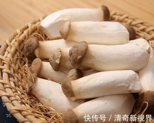 杏鲍菇|吃起来像肉不是肉,而是健康营养的素食,简单炒一下给肉也不换