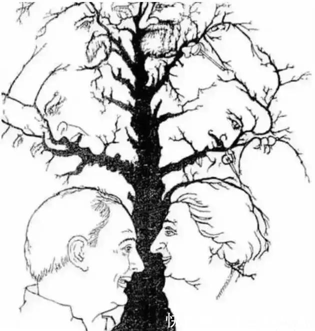 大脑|火遍全网的老年痴呆测试图,能看到五个人的恭喜你!大脑还很健康