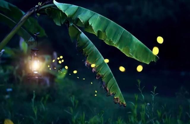 人生|唐诗中很冷门的一首诗,却蕴含人生哲理,值得一读再读