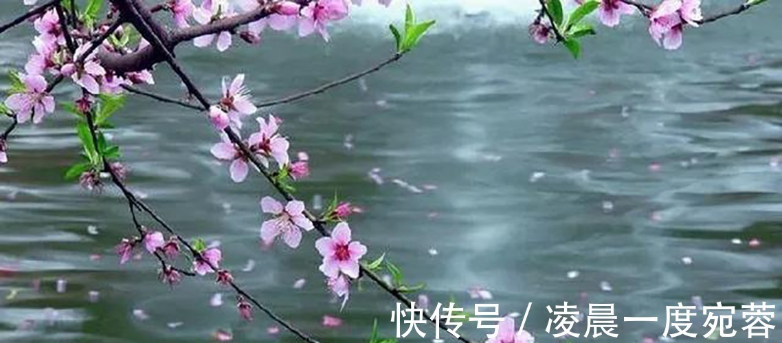 山寺#写《琵琶行》后仅半年,白居易又出一首名诗,灵巧生动、理趣盎然