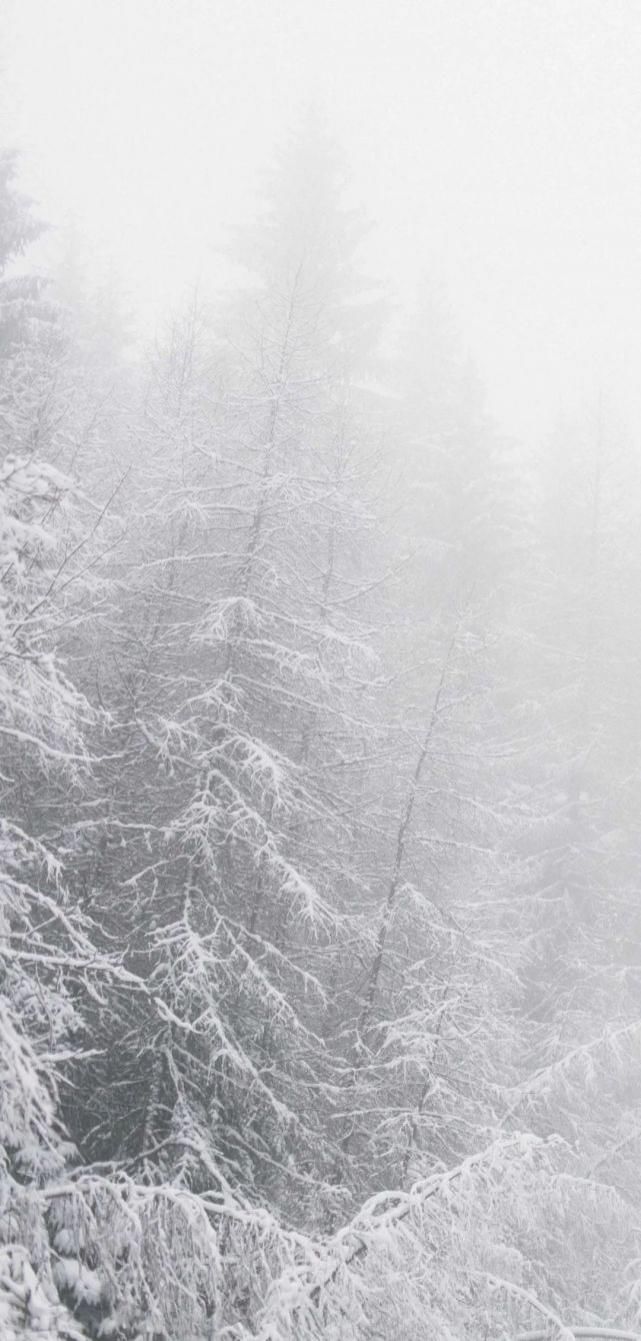 阅读|用读书对抗时间,逃离醉生梦死与无聊——阅读不是救赎,而是严父