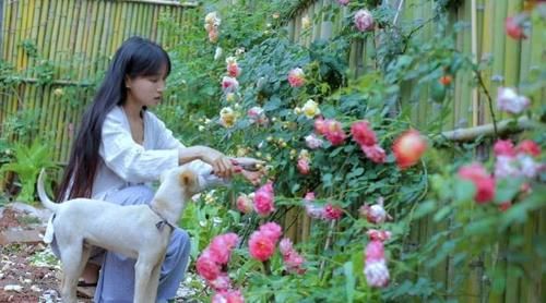 众人|李子柒三怼记者，为何众人会纷纷叫好？