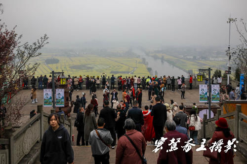 解密潼南的陈抟故里景区，来这里观赏油菜花海已成了水陆空全覆盖