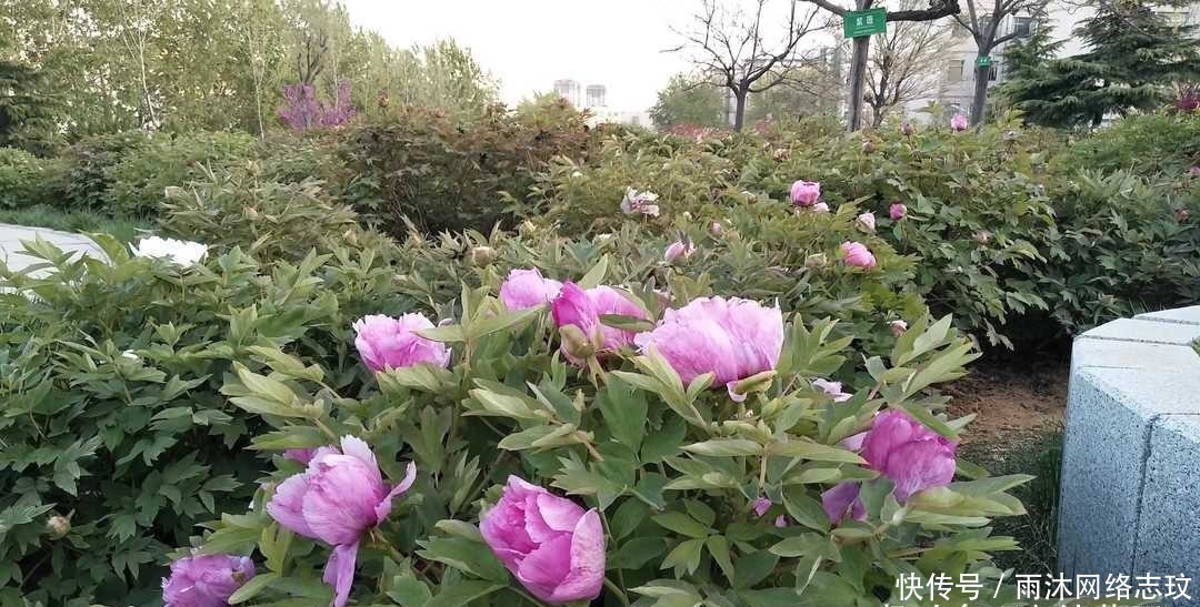 湘乡|曾国藩:不要多管闲事,有福不可享尽,有势不可使尽