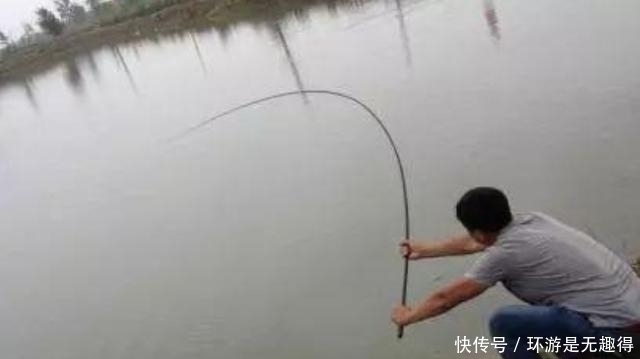 过瘾|到了六月,黑鱼我就喜欢这样钓,三天两头钓一次,特过瘾