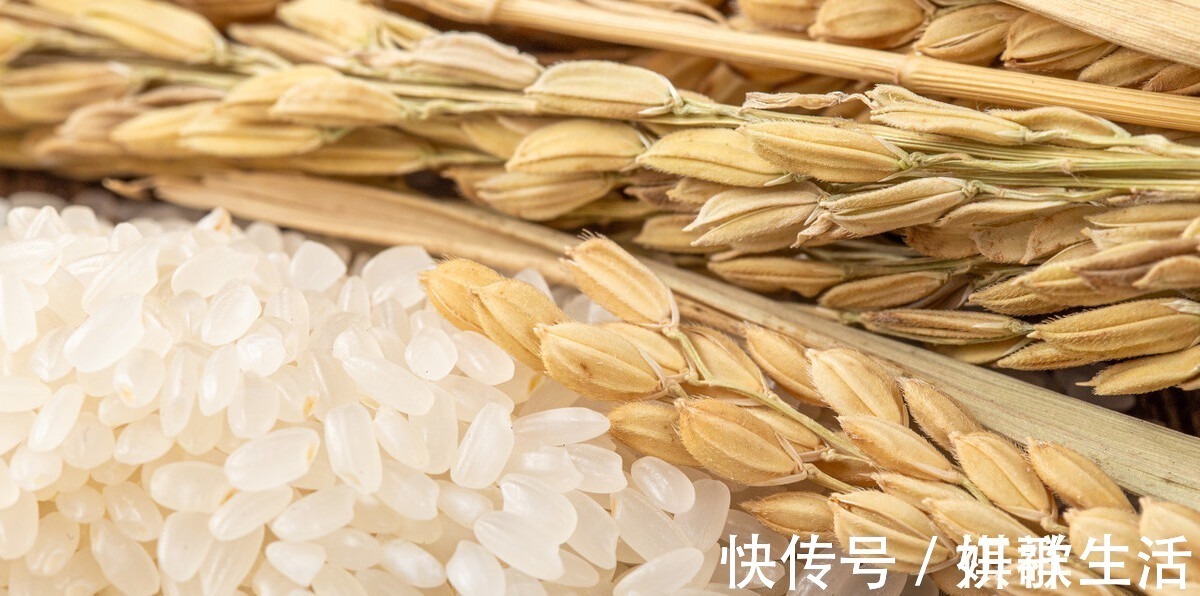 大米|保存大米很简单，教你正确的方法，放置1年不发霉和长虫，学会了