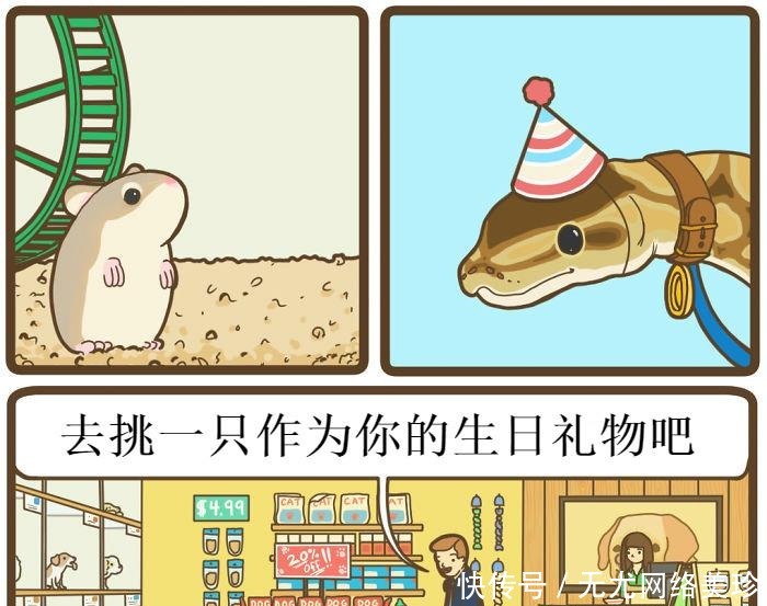 出牌|12, 张不按套路出牌的漫画，猫就是拿枪怼着你也很可爱