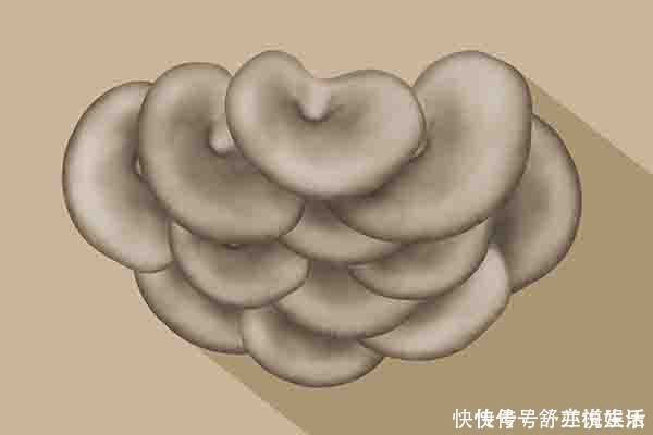 中老年人|骨科医生推荐的养骨食物，不是大骨汤，平时舍得吃，预防骨质疏松