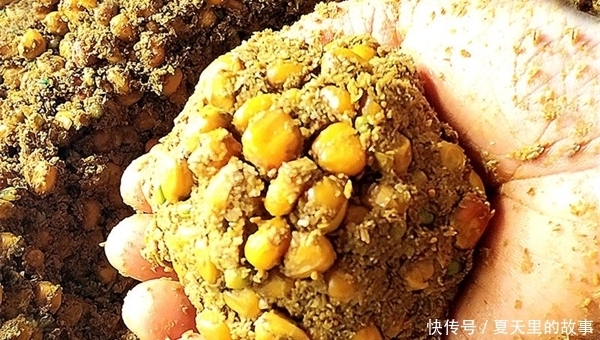 仲春开始钓草鱼,分享几款自制粮食饵料,制作简单效果好!