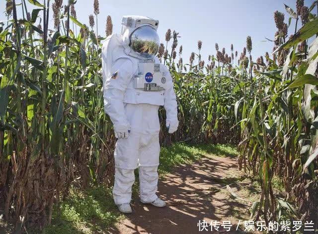 地方 国外同行,只要有中国人的地方,必须提速,火星探索也不例外