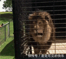 |搞笑GIF趣图:劈叉我见多了,但是这样的真没见过