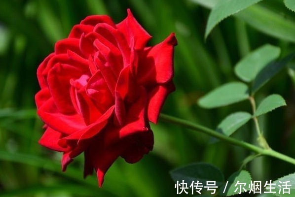 金律!出人头地的4条金律,悟懂其中一条,人生必将福来财到!