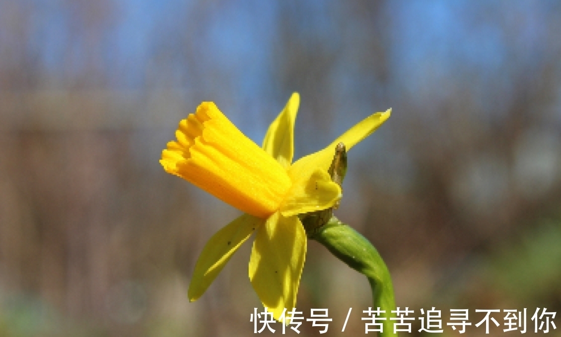 爱情|1月,鸾凤和鸣,倾心付出,难忘旧爱的生肖,勇敢拥抱幸福的爱情