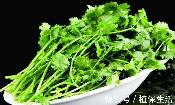 配方|补肾男人补肾的配方，有香菜就能搞定，一治一个准