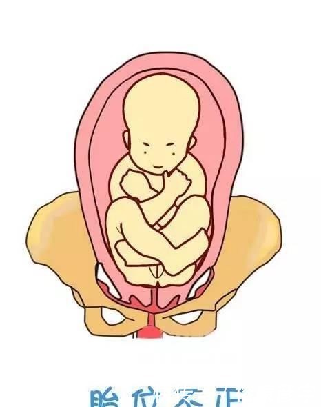 胎儿|宝贝, 你闹哪样 预产期过了你咋还不来