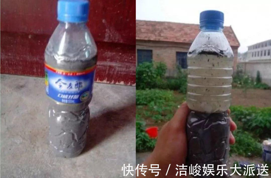 蚜虫|自制养花杀菌水，7天浇一勺，花不生虫不烂根