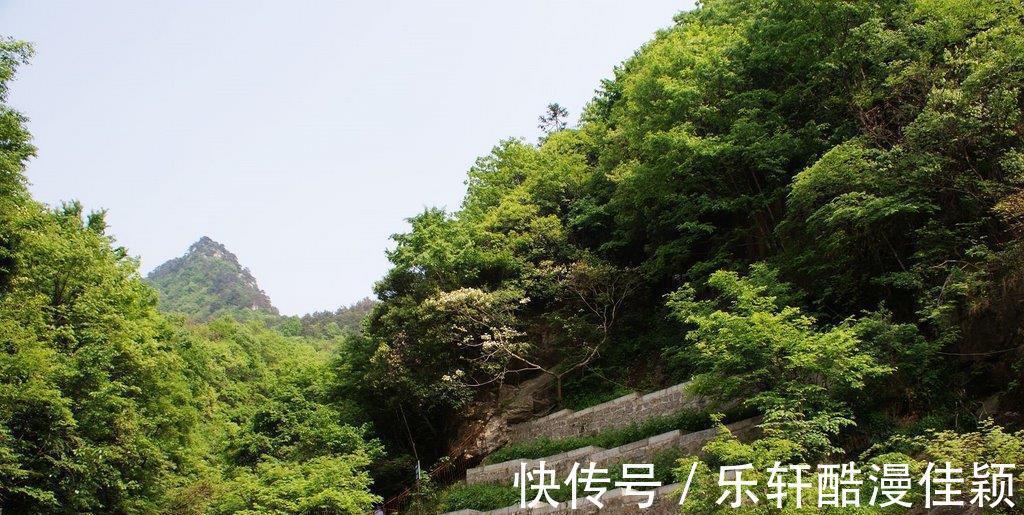 珍木|安徽还藏了一处小黄山，因武帝做梦而得名，风景绝美却鲜有人知