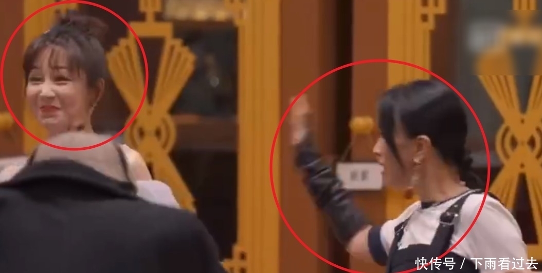 焦点 那英成功追星杨紫,激动把杨紫拍倒地上,她下意识反应却成焦点