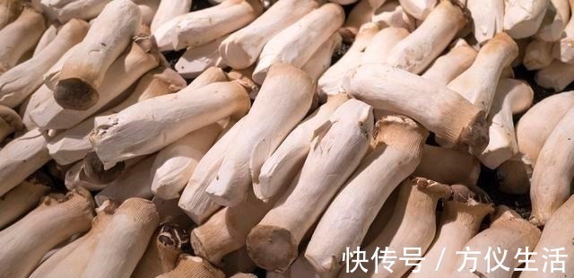 买杏鲍菇，挑长得好还是短的好？菜农：牢记3不买，才不会被忽悠