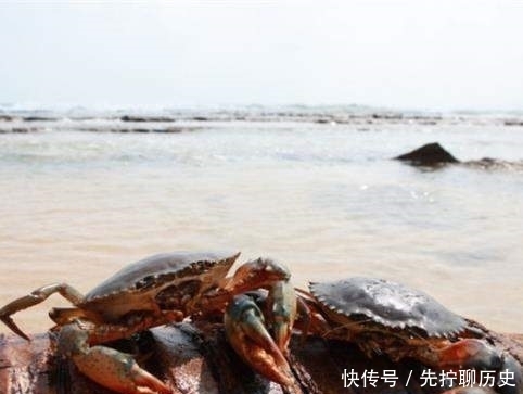 海南四大名菜：色香味俱全，在香港东南亚一带备受推崇！