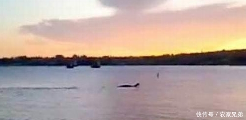 盘点|盘点课本上找不到的6个未解之谜,极少人知晓!