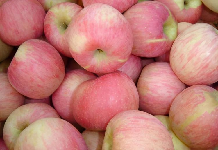 好吃|每天晚上坚持吃3种食物,美容养颜、去除皱纹,好吃又健康!