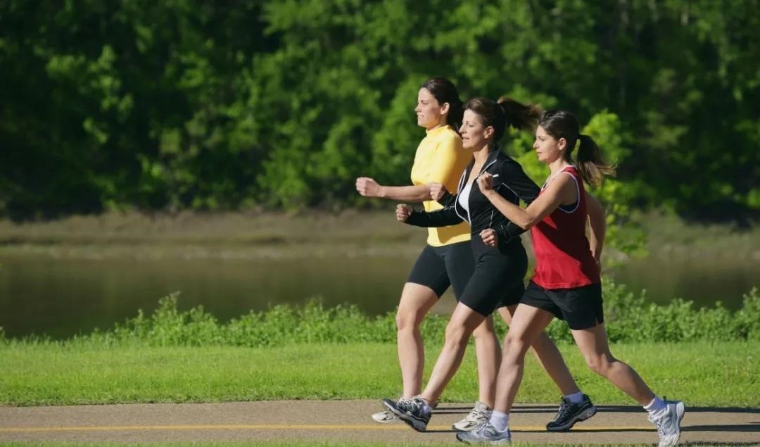 无花果|痔疮外痔肉球怎么缓解 用老一辈的方法是真香!