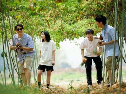 西双版纳 向往4即将收官,黄磊意外说漏嘴,提前告知了下一季蘑菇屋位置