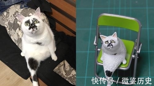 还原|全球的猫都想屏蔽这个日本人,他到底做了多少沙雕手办?