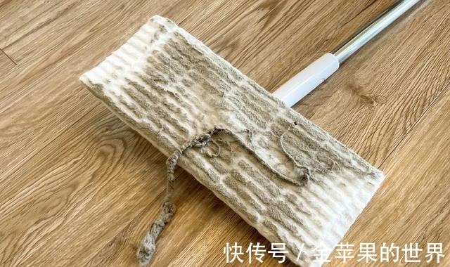 屋里两三天没有打扫就会出现很多“毛毛”，这是怎么一回事！
