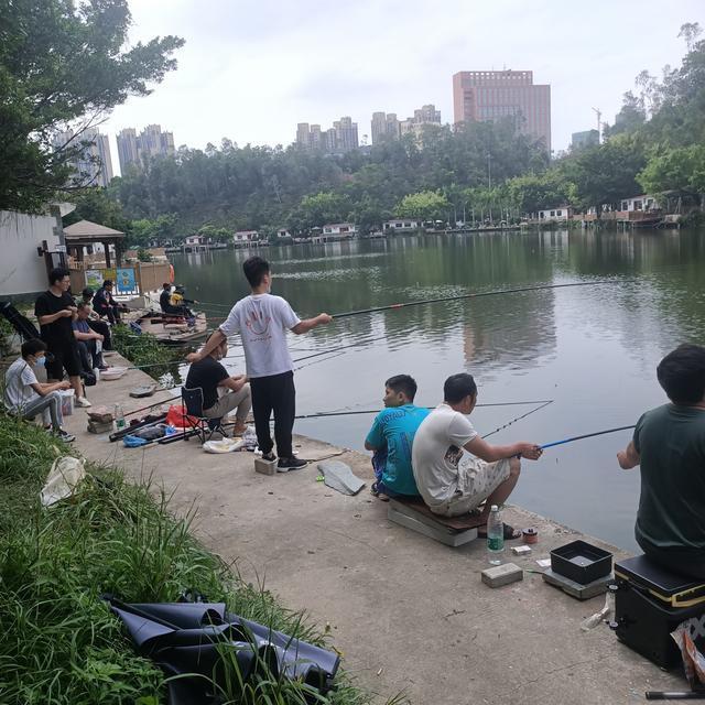 下图|深圳终于找到一个免费钓鱼的水库了,今晚的伙食有着落了