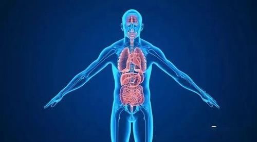 水谷|每天晚上9至11点拍三焦经，身体会感谢你的，三焦经是无言的神医