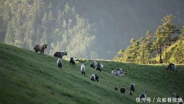 欢迎走进四川广元青川旅游景点