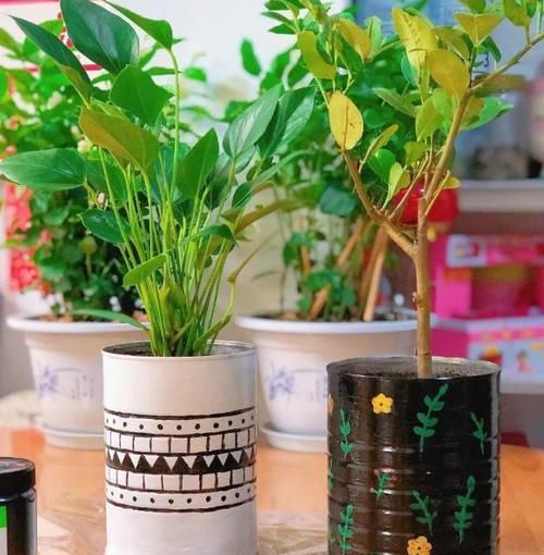 阳台养花，选用“创意花盆”，比摆放“百样花”还好看