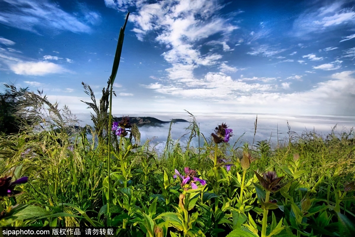 细“鼠”点滴:极不平凡的2020年,看完竟然默默流泪了!