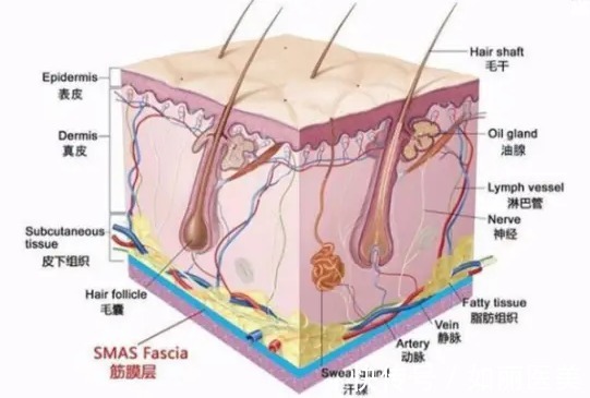 胶原蛋白 做完热玛吉后皮肤变黑正常吗?这几点要注意,不然白做了