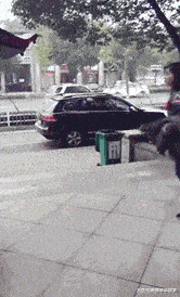 |搞笑GIF:好家伙这到底谁哪位大神砸过来的,竟能这么准