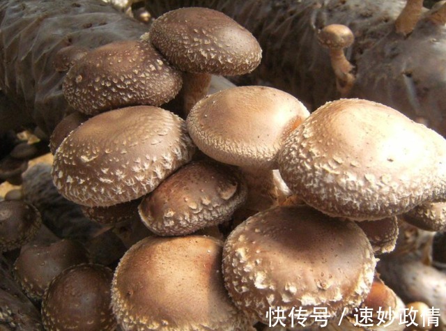 小蛮腰|女性更年期不要太节约,多吃6种碱性食物,加一运动促进雌激素