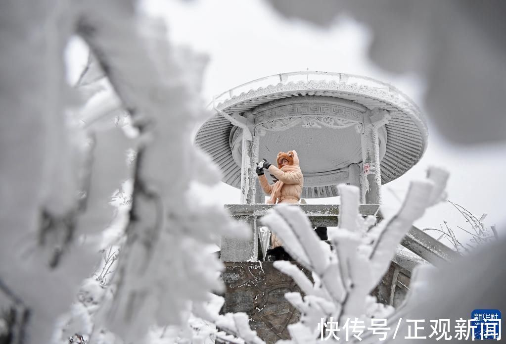 雪景|雪落庐山