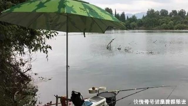 鲤鱼|又一鲫鱼钓法强势来袭自从有了它,鲤鱼再大都没兴趣,不得不服