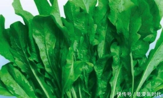 夜盲症|地米菜的营养价值高，能缓解夜盲症，降血压
