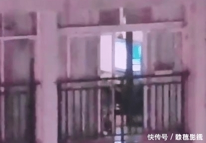 父母|兄妹俩趴床上手舞足蹈看着马路对面,妈妈凑近一看,顿时哭笑不得