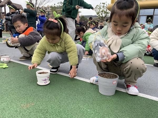 桐乡市振东幼儿教育集团锦程幼儿园“种子”课程系列活动启动