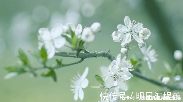 使至塞上#王维最感人的一首诗，句句都是千古名言，感动了历代无数的读者