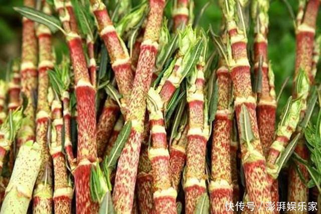 它在国外臭名昭著,在我国却名气很大,80后当成零食吃,12元一斤