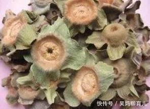 喉咙痒痰多咳不停白开水里撒一宝,帮你化痰止咳,清肺热